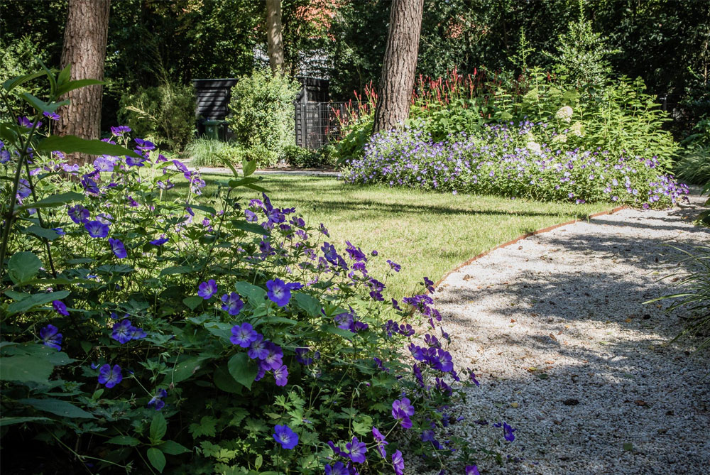 De Engelse tuin: 5 tips voor de creatie van deze cottage tuin