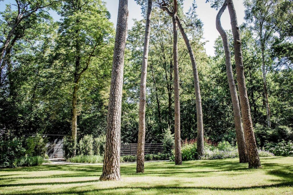 Bostuin in Bosch en Duin