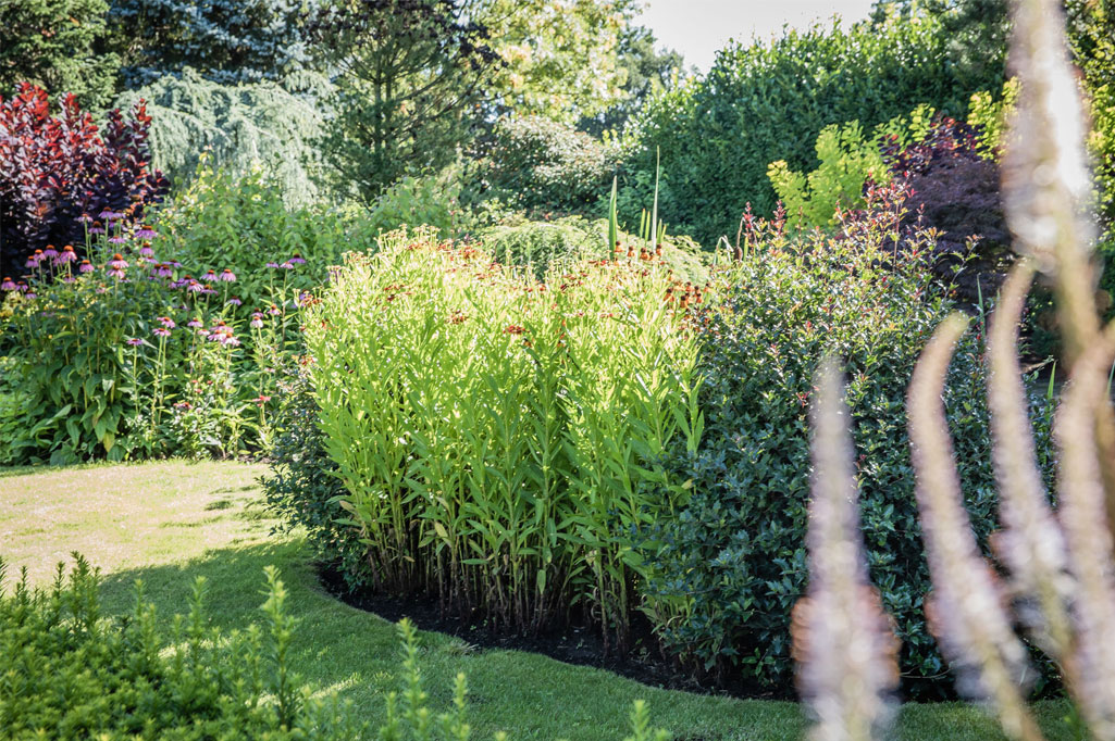 Tuin hovenier Noord-Holland